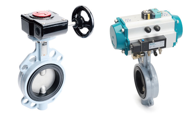 Rubber seat butterfly valve