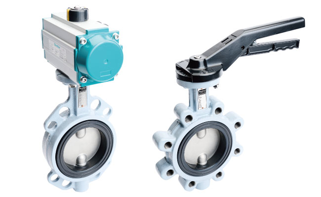 Rubber seat butterfly valve