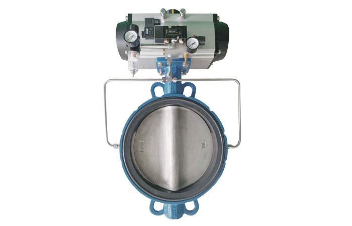 Inflatable butterfly valve